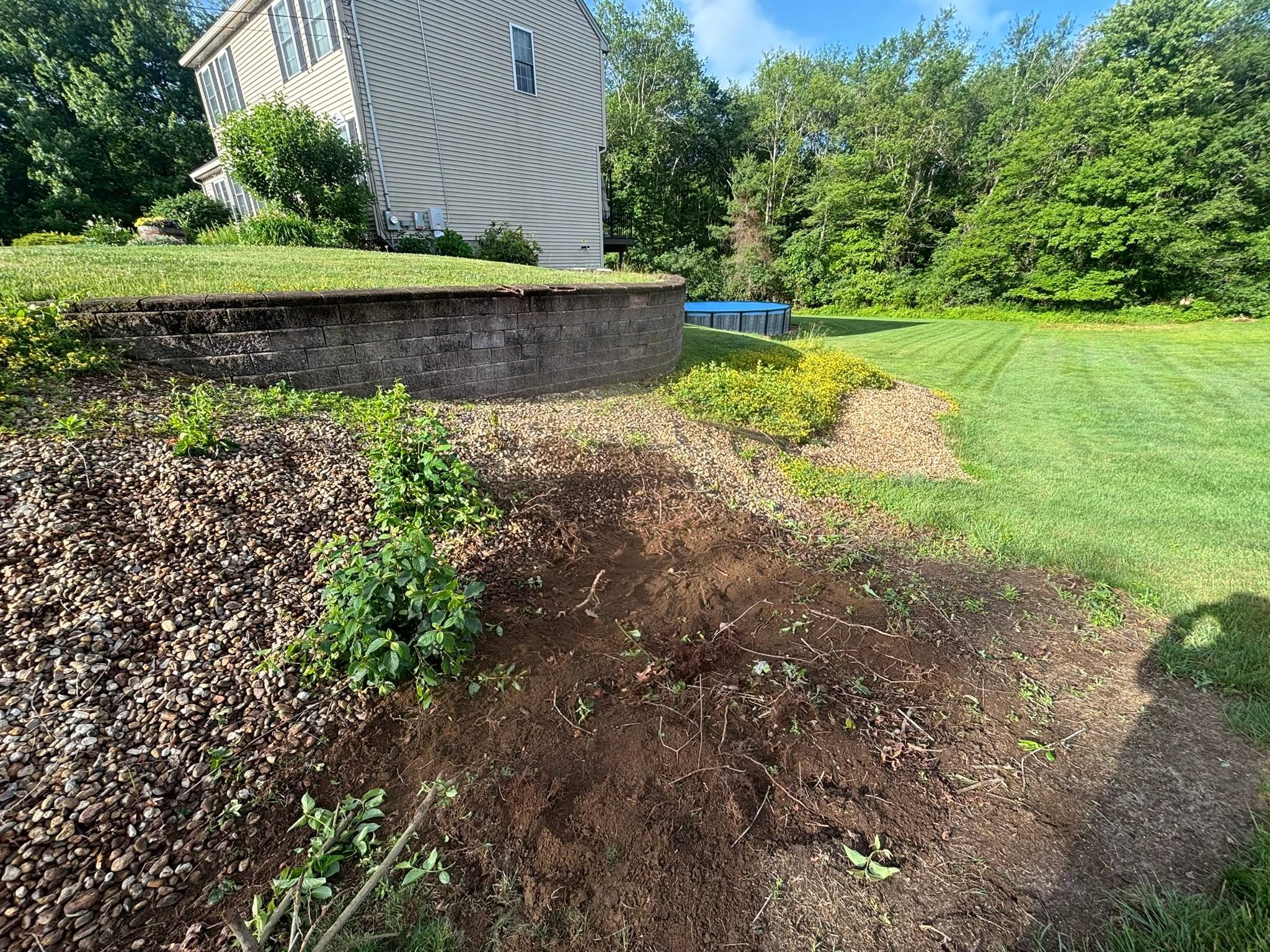 Final after photo — clean open area after stump and shrub removal